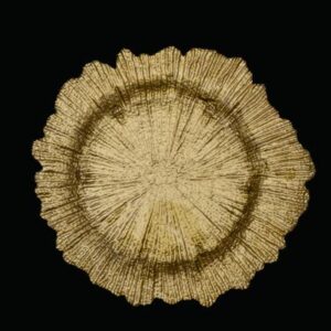 CER Charger Plates - PK 0020