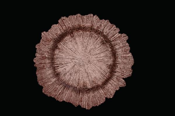 CER Charger Plates - PK 0023