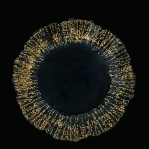 CER Charger Plates - PK 0027