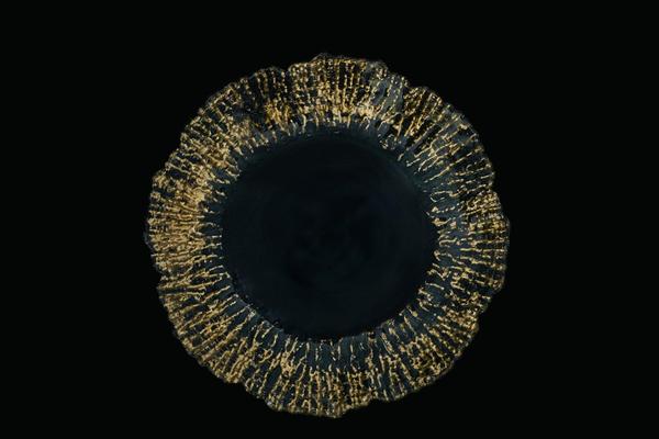 CER Charger Plates - PK 0027