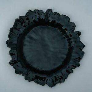 CER Charger Plates - PK 0003